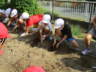 ２年生冬野菜種まき 苗の植え付け 島田第五小学校
