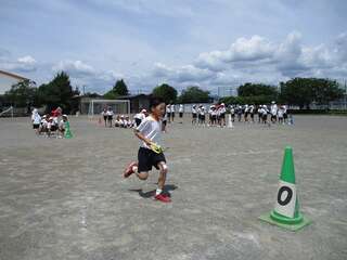 IMG_7571.jpg