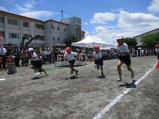 IMG_7925.jpg