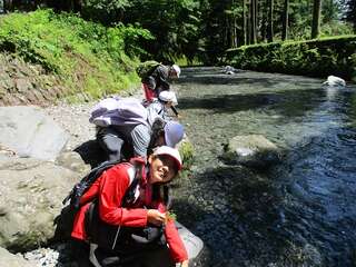IMG_8389.jpg
