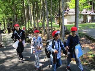 IMG_8393.jpg