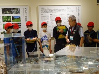 DSC03090.jpg