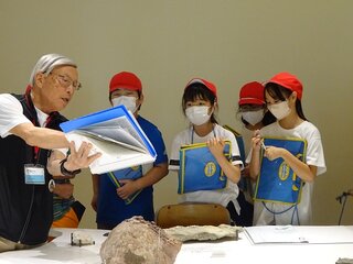 DSC03118.jpg
