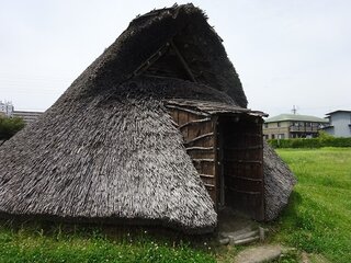 DSC08940.jpg
