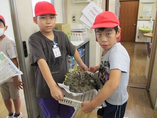 IMG_9505.jpg
