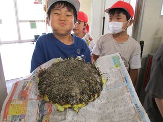 IMG_9506.jpg