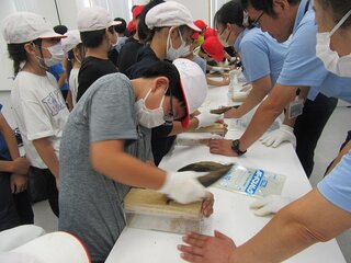 IMG_9076.jpg