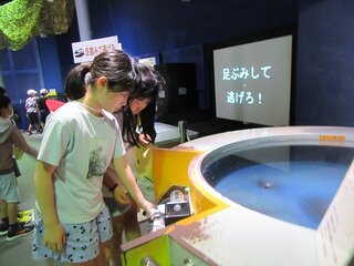IMG_9100.jpg