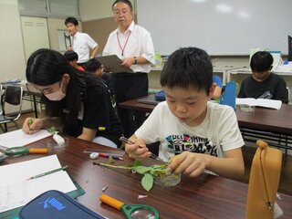 IMG_9849.jpg