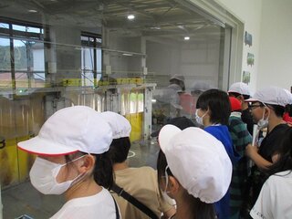 IMG_0086.jpg