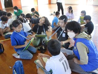 IMG_0183.jpg