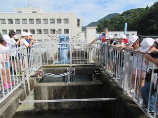 IMG_0077.jpg
