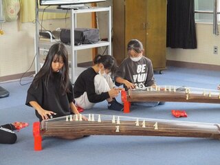 IMG_0487.jpg
