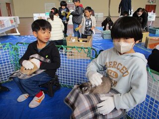 IMG_2402.jpg