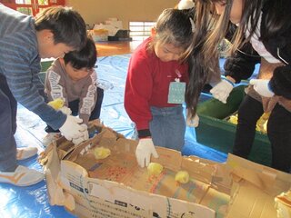 IMG_2437.jpg