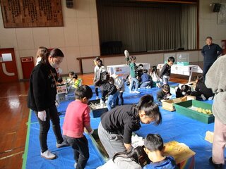 IMG_2446.jpg