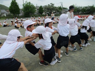IMG_4395.jpg