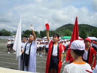 IMG_4633.jpg