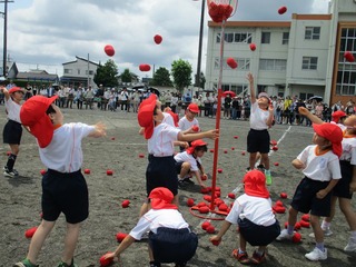 IMG_4702.jpg