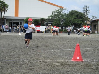 IMG_4730.jpg