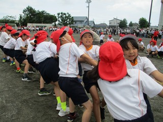 IMG_4774.jpg
