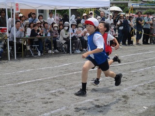 IMG_4833.jpg