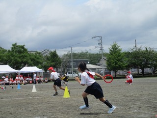 IMG_4799.jpg