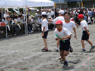 IMG_4816.jpg