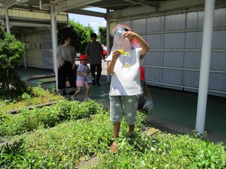 IMG_0069.jpg
