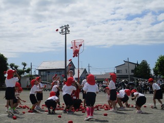 IMG_2549.jpg