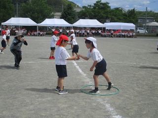 IMG_2559.jpg