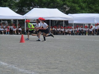IMG_2589.jpg