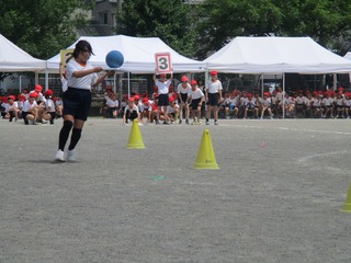 IMG_2593.jpg