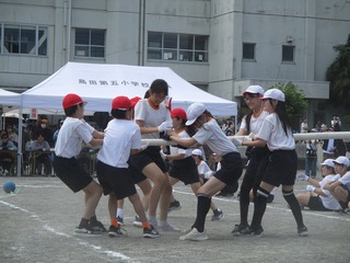 IMG_7813.jpg