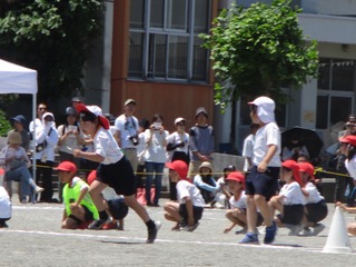IMG_7871.jpg
