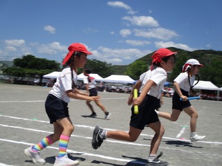IMG_7899.jpg
