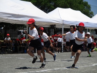 IMG_7908.jpg