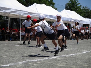 IMG_7920.jpg