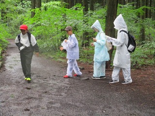 IMG_2834.jpg