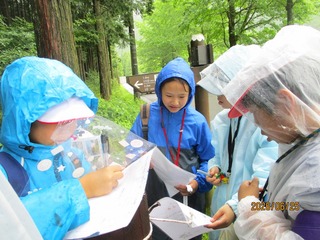 IMG_5370.jpg