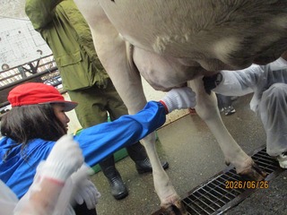 IMG_5433.jpg