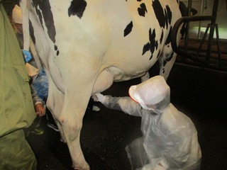 IMG_2896.jpg