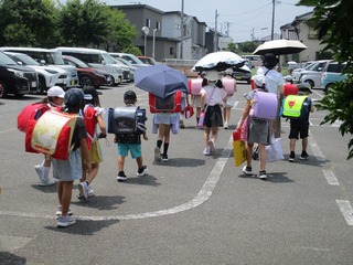 IMG_3175.jpg